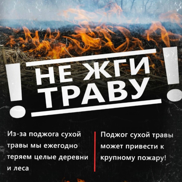 Сообщение